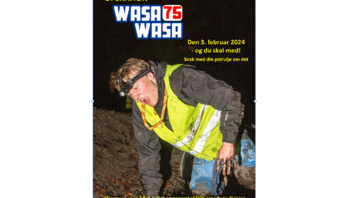 Wasa Wasa plakat